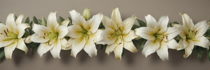 Lilies arranged symmetrically on a simple banner , symmetrical, petals, serene