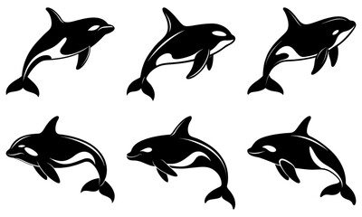 Killer Whale Silhouette vector illustration
