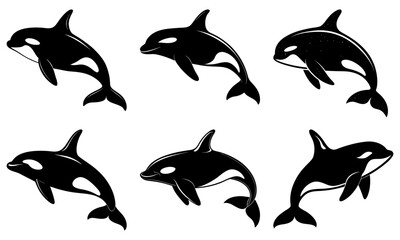 Killer Whale Silhouette vector illustration