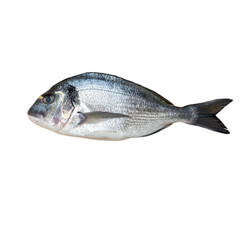 Obraz premium 