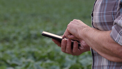 Farmer holding smartphone browses an app, checking weather forecasts, crop data, or market prices...