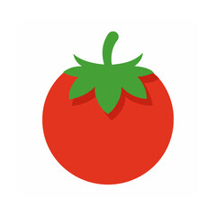 Watercolor Style Tropical Palm Leaves on White Botanical  for Print & Digital Use

