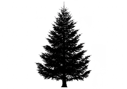 Silhouette of fir tree isolated on transparent background - Powered by Adobe