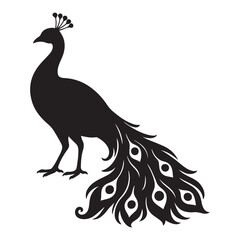 Fototapeta premium Elegant Peacock Silhouette with Floral Accents