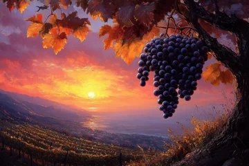 Selbstklebende Fototapeten Sunset over vineyard with ripe grapes hanging from vine in tranquil landscape © Tanu