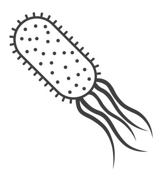 salmonella typhi bacteria icon