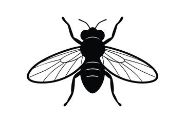 Silhouette art illustration of a housefly.eps