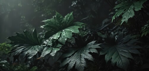 Mysterious black & verdant leaf design; dramatic, bold, trendy, high contrast , trendy, design