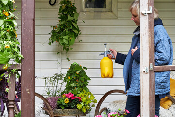 Woman in a blue jacket watering summer flowers with a yellow watering can on a summer veranda.