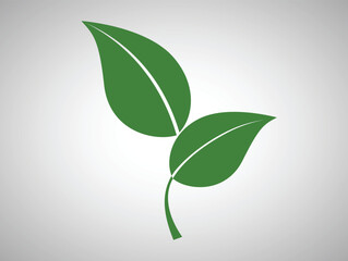 Embrace Sustainability: Eco-Friendly Living and Green Practices for a Better Planet