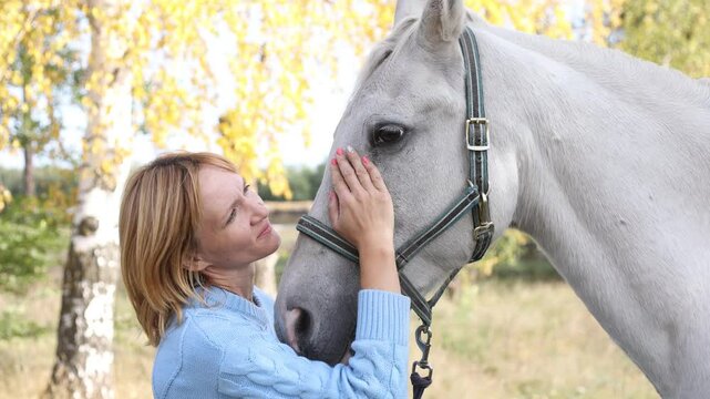 Female person stroking her white horse with love and care. High quality 4k footage