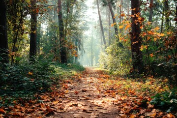 A serene forest path covered in autumn leaves, tranquility.