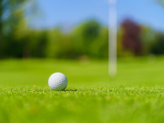 Golf ball and directions for hitting. Sports and hobbies. Sports competitions and active recreation. Individual and team game. Golf ball on a blurred background.