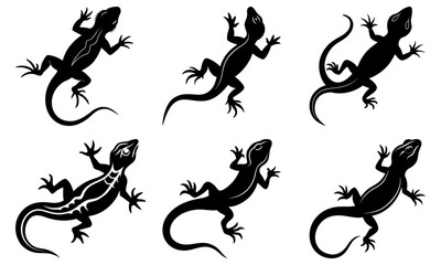 Lizard Silhouette vector