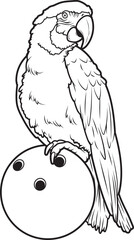 Parrot Bowling Bowling ball Animal Vector Graphic Art Illustration