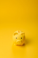 Piggy bank as a financial conceptual background with coins, doing business