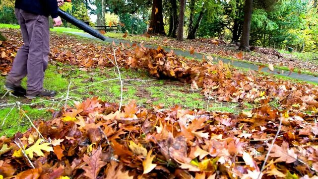 Autumn Leaf Removal with Leaf Blower in Park