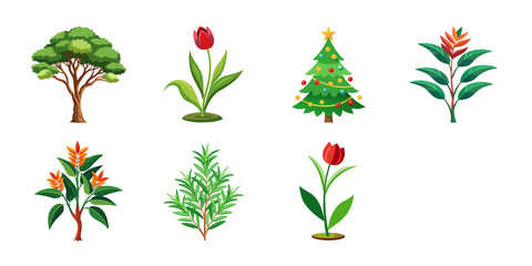 set of flowers and leaves, plant set, house plant