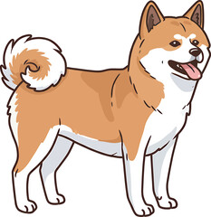 Akita Dog breed vector