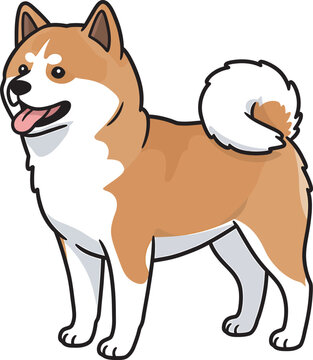 Akita Dog breed vector