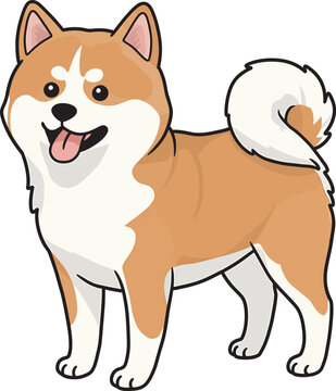 Akita Dog breed vector