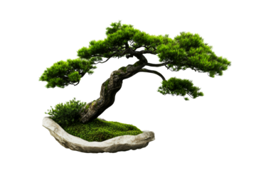 Sculpted bonsai tree displaying intricate craftsmanship and beauty