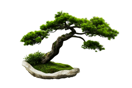 Sculpted bonsai tree displaying intricate craftsmanship and beauty