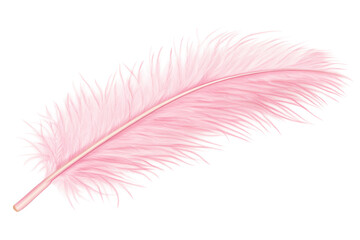 Soft pink feather with fine details on a transparent background