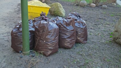 Plastic Garbage Bags Filled with Fallen Withered Leaves Collected after Raking Cleaning Public Park...