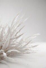 Fototapeta premium Wispy white background, delicate shading, almost imperceptible grain , clean, ivory, light