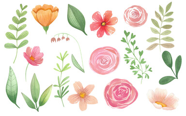 A set of flowers, leaves, floral watercolor illustration for wedding invitations, greeting cards, printing design. A spring and summer set of colorful flowers and plants.	