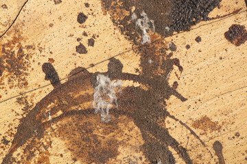 Dirty paint stains on wooden surface as background, paint