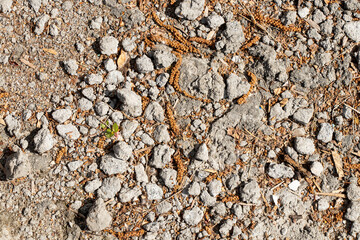 Road of slag and stones in the sun close-up,stone