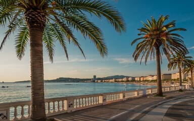 summer, Nice, France ,French Riviera, Palm-lined Promenade, Seaside Sunrise