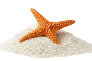 Orange starfish on sand isolated on transparent background
