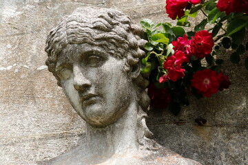 Red Roses and Classic Sculpture