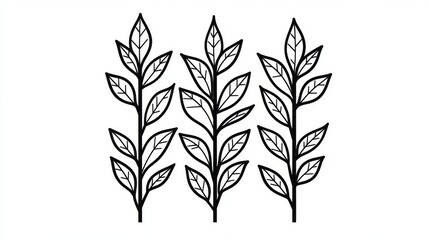 Fototapeta premium The decorative border features a black floral pattern with a symmetrical design of leaves radiating from a central point