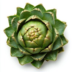 Obraz premium A single fresh artichoke is exhibited with its green leaves tightly packed, creating a natural geometric shape
