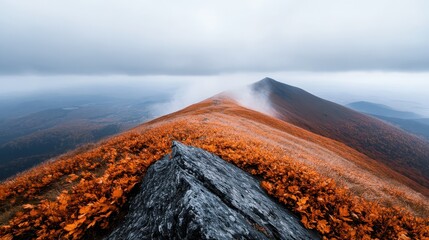 A breathtaking view of autumn mountains with vibrant orange foliage creating a serene atmosphere, embodying the beauty and tranquility of nature's seasonal transformation.