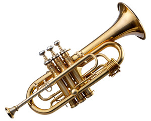 Vintage Brass Trumpet Instrument
