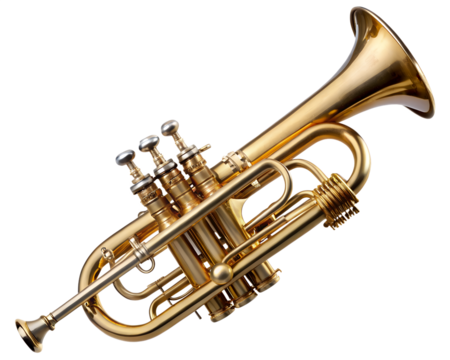 Vintage Brass Trumpet Instrument