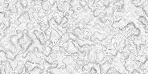 Design an artwork or concept that uses only black topographic contour lines to represent a landscape, emotion, or abstract idea. Let the absence of color heighten the focus on form, elevation, 