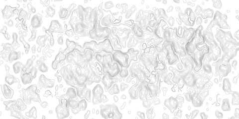 Fototapeta premium Design an artwork or concept that uses only black topographic contour lines to represent a landscape, emotion, or abstract idea. Let the absence of color heighten the focus on form, elevation, 