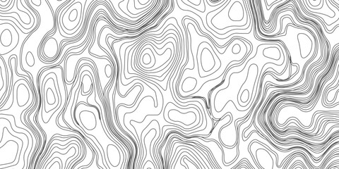 Fototapeta premium Design an artwork or concept that uses only black topographic contour lines to represent a landscape, emotion, or abstract idea. Let the absence of color heighten the focus on form, elevation, 