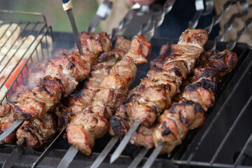 Freshly cooked and fried pork shashlik strung on skewers lies on the grill and is ready for a treat.