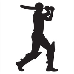 A cricket match in which the player