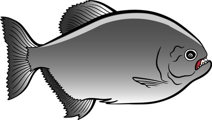 scary piranha fish vector illustration isolated on white background