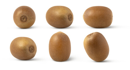 Collection of whole kiwi fruits isolated on white background. Whole kiwi fruit in different positions.