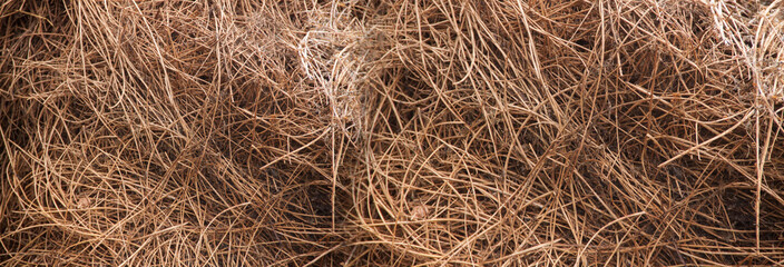 Hay texture. Hay and straw photo. Yellow dry grass background