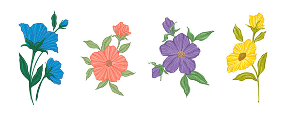 Creative minimalist Abstract art wild flowers, leaves, branch, Hand Drawn doodle Scribble floral plants. Abstract leaf. wild flowers isolated on white